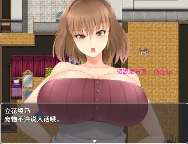 BandiView_预览图_05.jpg