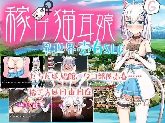 BandiView_预览图_01.jpg