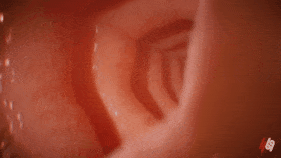 69a19e2d5cb941.57191819.gif